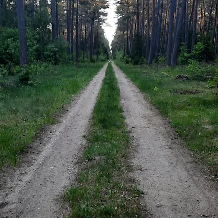 Domek Na Mazurach W Zagajniku Przy Jeziorze Stare Kiejkuty Exteriér fotografie