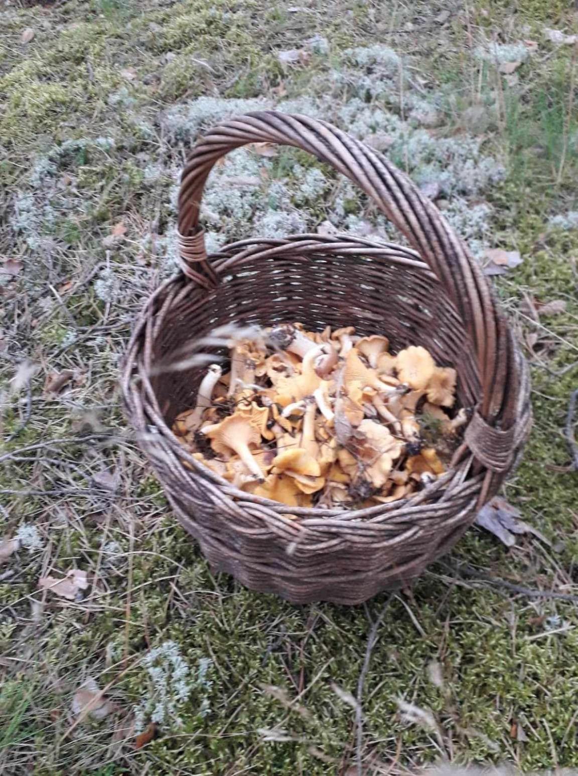Na Mazurach W Zagajniku Przy Jeziorze Ferienhaus