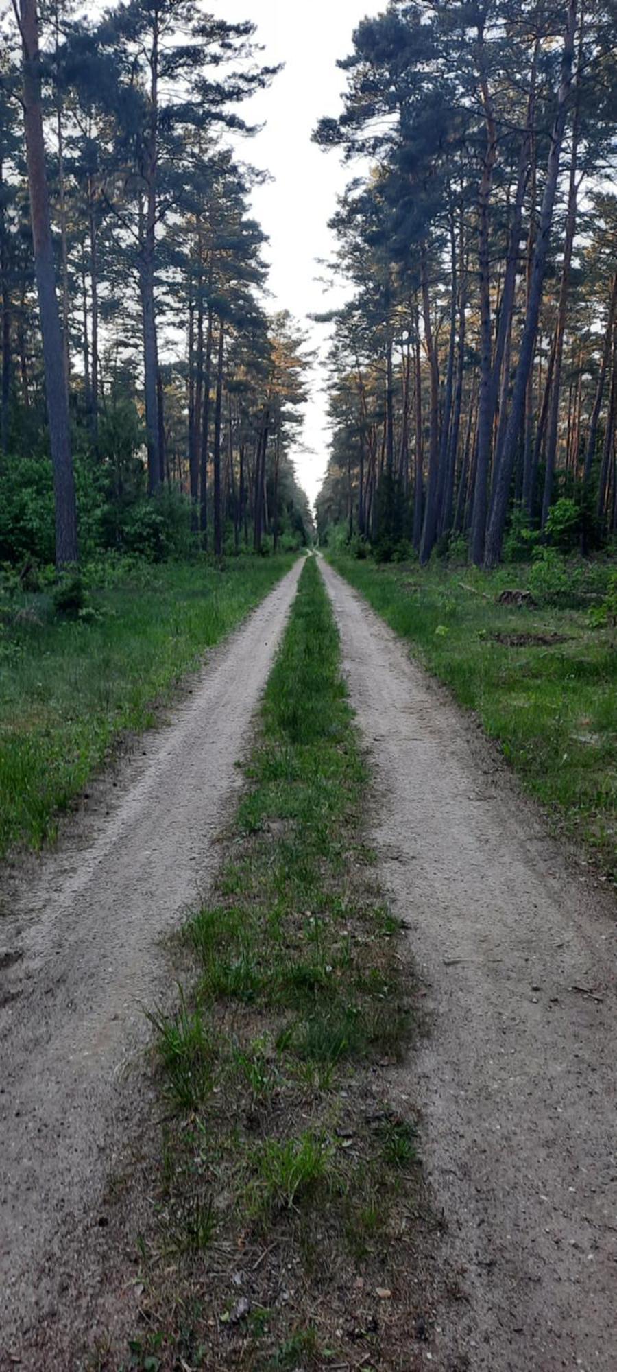 Ferienhaus Na Mazurach W Zagajniku Przy Jeziorze Stare Kiejkuty